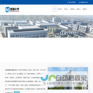 BHMTPMP、BHMTPMPA  二己烯三胺五亚甲基膦酸 BHMTPh·PN(Nax) - BHMTPMP生产商