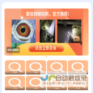 查鸽天下-信鸽足环号查询-查鸽网