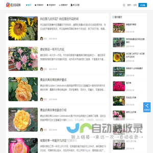 月季苗木批发基地_园林绿化苗木价格_花田园林
