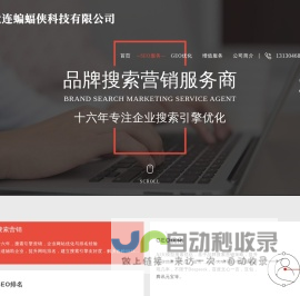 蝙蝠侠IT-国内知名SEO/GEO优化公司，AI品牌搜索营销
