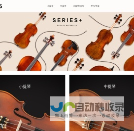 VLINS，薇琳斯，小提琴，中提琴，大提琴/贝司，琴弓/琴盒