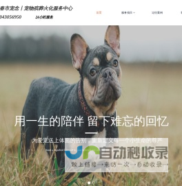 长春 宠念宠物殡葬火化善终