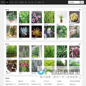 花卉_花卉绿植_花卉大全-爱花网