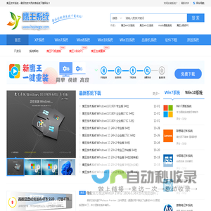 鹰王技术系统_最新win10纯净系统_win11纯净系统下载-鹰王系统下载