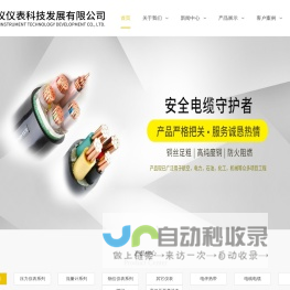 江西江仪仪表科技发展有限公司