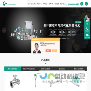 插入式气体流量计-德国CS露点变送器-氮气流量计-测司仪表
