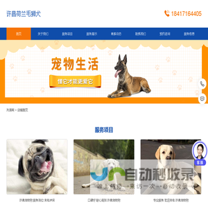 许昌荷兰毛狮犬