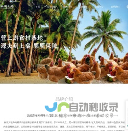 春润大地·海南椰子鸡