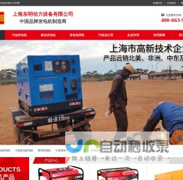 汽油发电机,柴油发电机,小型汽油发电机,小型柴油发电机,家用发电机生产厂家——上海东明动力设备有限公司