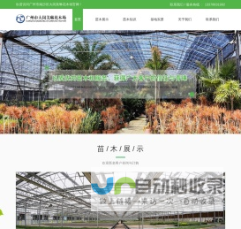 广州花木场-广州苗木批发-林木工程公司-广州市南沙区大岗美琳花木场