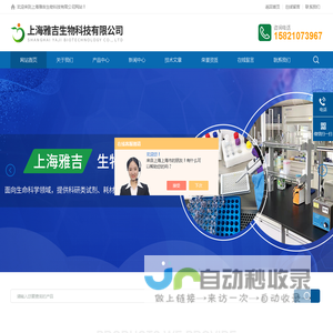 ATCC细胞株-小鼠成纤维细胞L929-ATCC原代细胞-上海雅吉生物科技有限公司