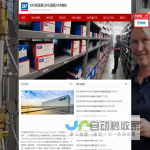 SKF润滑泵|SKF油泵|SKF电机