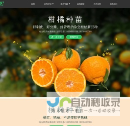 首页-湖南省三国园艺有限公司