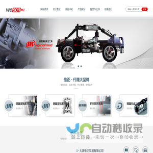 大连惟正贸易有限公司