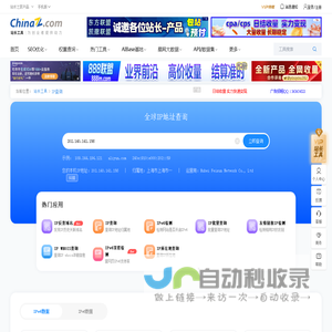 IP/IPV6查询，服务器地址查询-站长工具