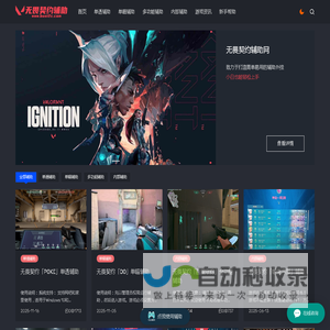 无畏契约辅助网 - 提供稳定的无畏契约辅助外挂自助下台