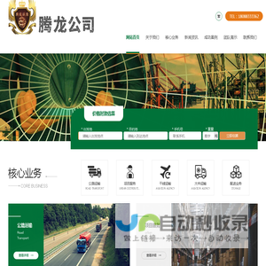 腾龙公司直属客服