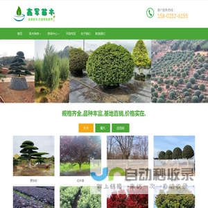 绿化苗木_园林绿化_苗木报价-湖南鑫军苗木场