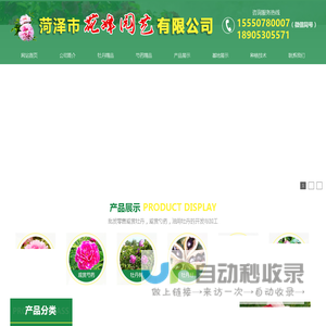 菏泽市花峰园艺有限公司-观赏牡丹,观赏芍药,牡丹芍药鲜切花,牡丹苗