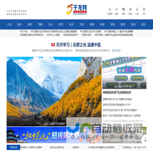 千龙网