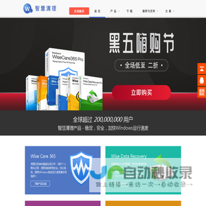 [官方]智慧清理(WiseCleaner)中文站 - Windows系统清理优化工具