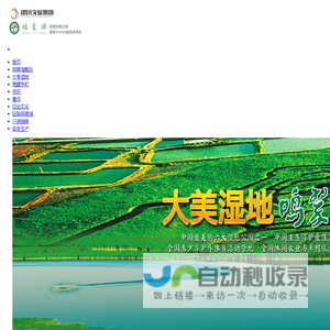 银川文旅集团 - 鸣翠湖国家湿地公园