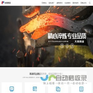 网站建设【企业网站制作】高端网站设计 - 大网网络