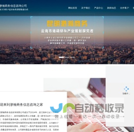 云南市场调研公司_市场研究_昆明渺瀚商务咨询