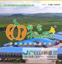 宝清县桦宝农副产品有限责任公司,宝清白瓜子,黑龙江白瓜子,白瓜子,桦宝农产品