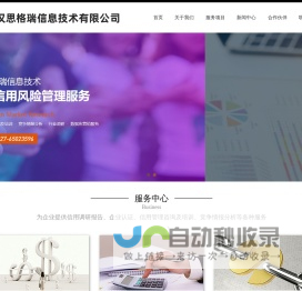 武汉思格瑞信息技术有限公司