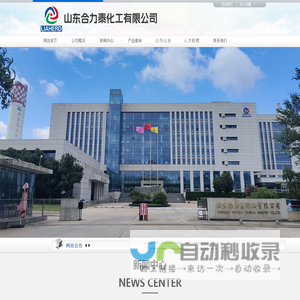 山东合力泰化工有限公司