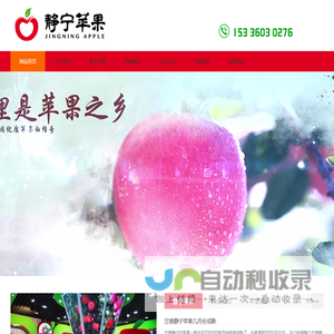 静宁苹果_红富士苹果_苹果批发_静宁红富士苹果直销_苹果价格 - 静宁苹果批发