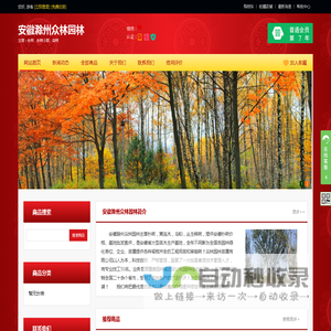 安徽朴树_安徽滁州朴树基地_安徽众林园林 - 花木网