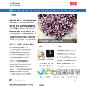 最高法第四巡回法庭成立以来结案1.3万余件-中国长安网