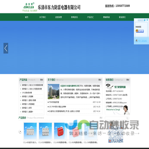 乐清市东力防雷电器有限公司