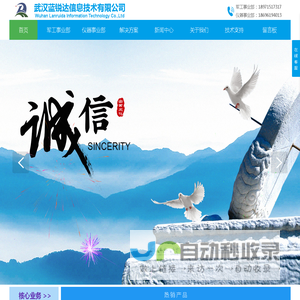 武汉蓝锐达信息技术有限公司