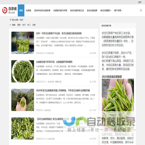 兰花香安吉白茶价格多少钱一斤【图片、品牌、批发】高山白茶礼盒装 | 白茶阁