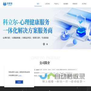 发展锚智慧心理服务