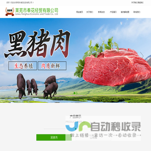 莱芜市奉花经贸有限公司