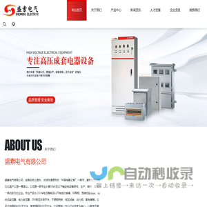 盛素电气有限公司 -