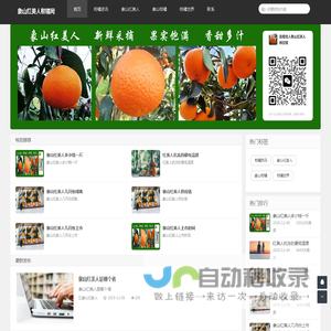 象山红美人柑橘网|象山红美人价格|象山红美人供应链批发代理一件代发