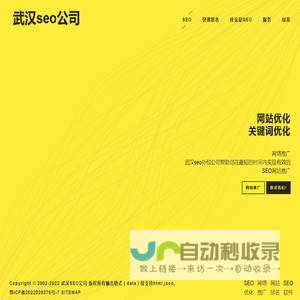 SEO_网站关键词优化_网络推广_网站快速排名-武汉SEO公司