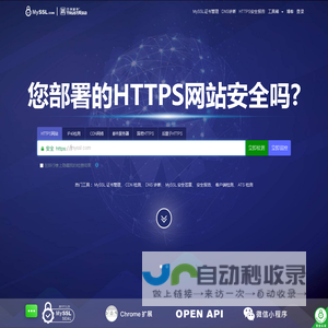 亚数信息-SSL/TLS安全评估报告