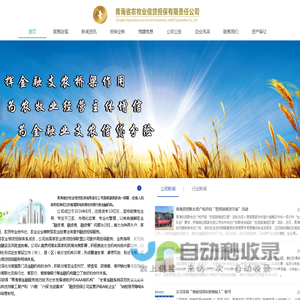 青海省农牧业信贷担保有限责任公司