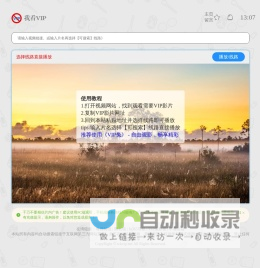 我看VIP - 视频解析