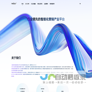 云想科技-投资者关系