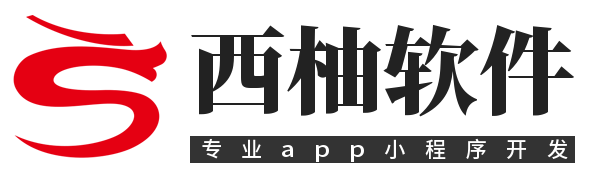 各种软件系统商城系统小程序设计制作