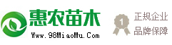 辽宁惠农苗木基地-国内专业大型果树苗木繁育中心_辽宁惠农苗木基地
