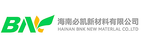海南必凯新材料有限公司