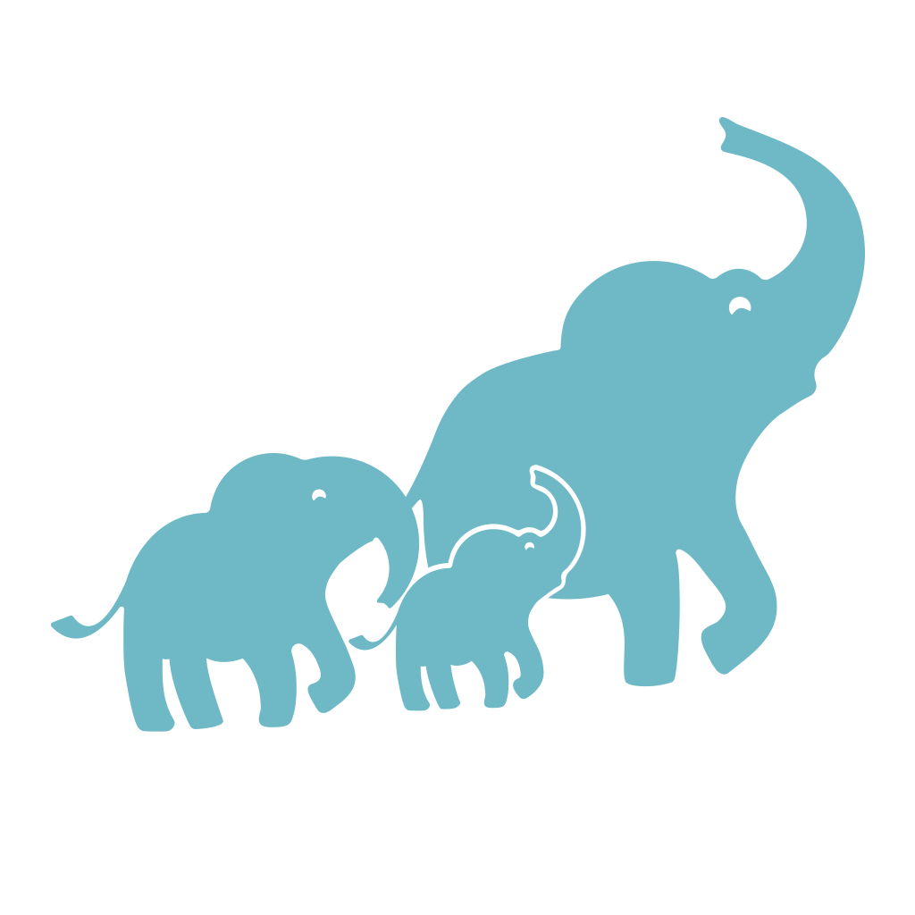 首页-名师网络工作室